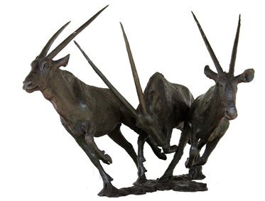 Gemsbok Bronze